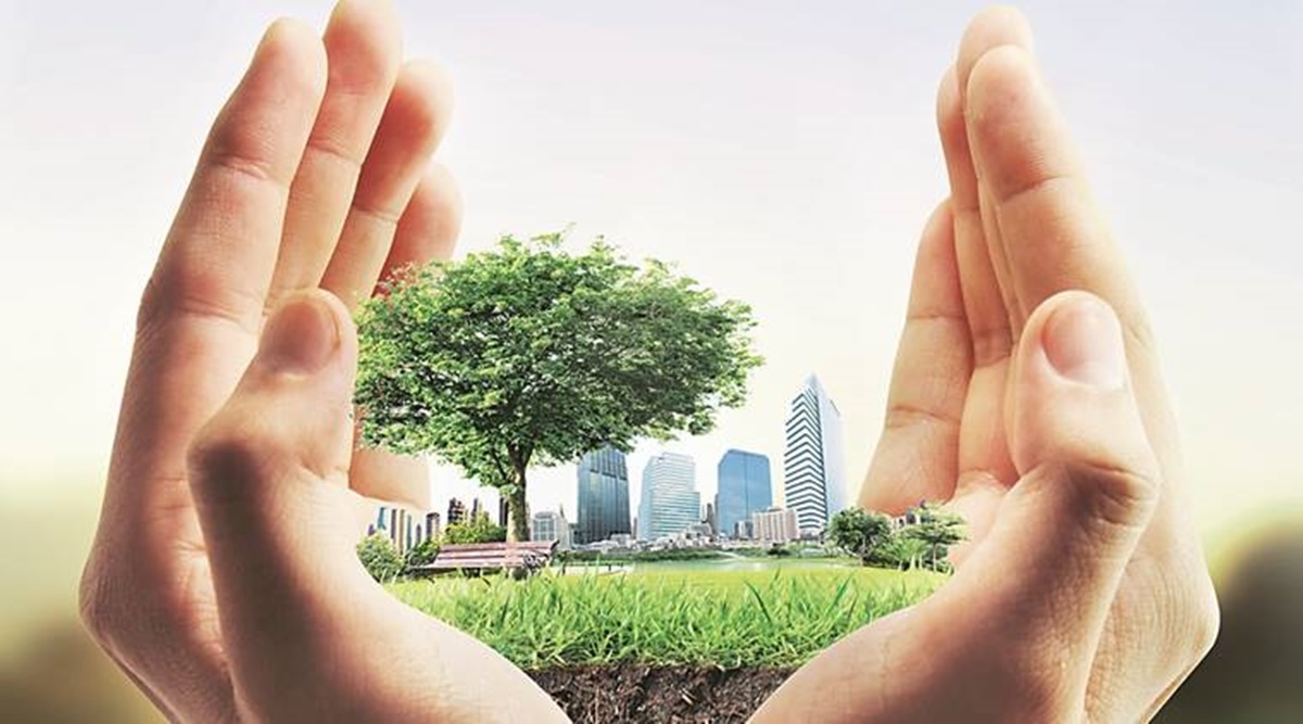 Top 10 Sustainable Real Estate Practices in 2024